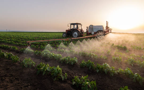 Best Pest Removal Services  in Bar Nunn, WY