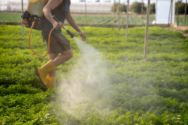 Best Affordable Pest Control Services  in Bar Nunn, WY