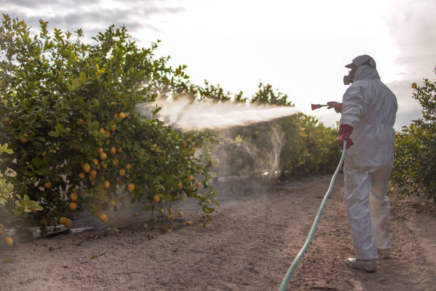 Trusted Bar Nunn, WY Pest Control Experts