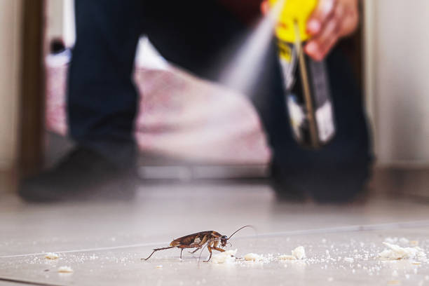 Best Affordable Pest Control Services  in Bar Nunn, WY