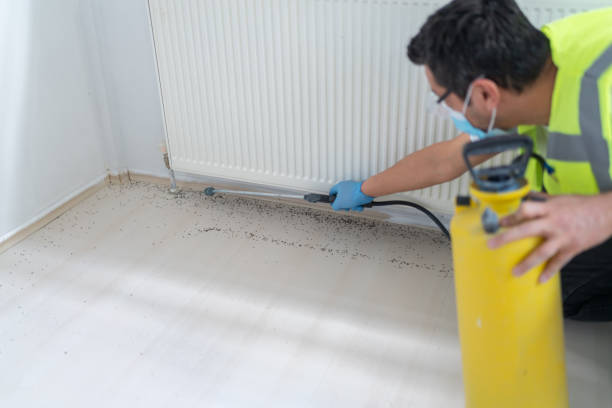 Wasp Removal Services in Bar Nunn, WY
