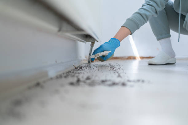 Best Mosquito Control Services  in Bar Nunn, WY